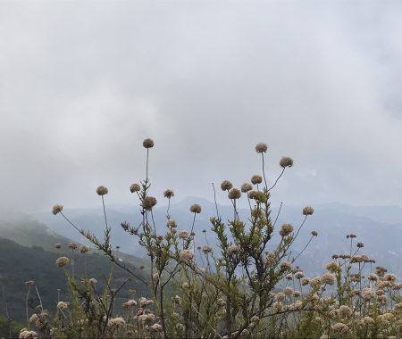 4 Simple Tips to Maximize Environmental Kindness This Winter