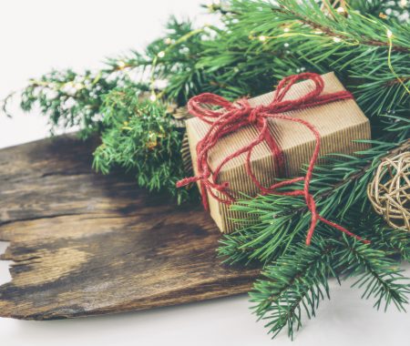 Holiday Toy Drives