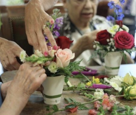 The Power of Flowers Project