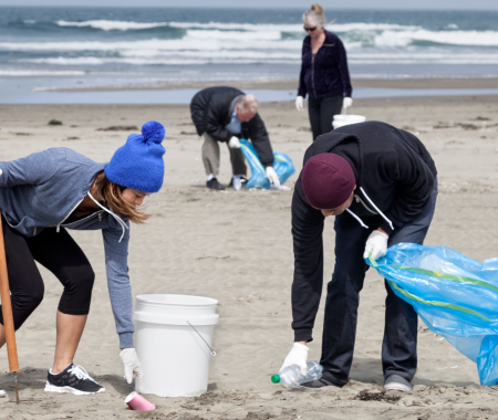 How to Organize a Beach Clean-Up