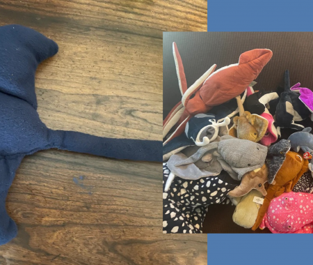 Struggling Mother Sews Her Son’s Birthday Gift and is Overwhelmed by Support From Strangers
